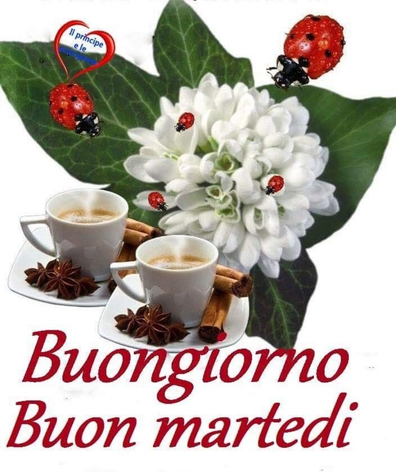 Buon Martedì da mandare agli amici - Pagina 10 di 11 - Buongiorno.cloud