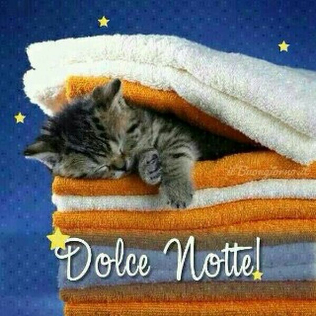 Dolce Notte!