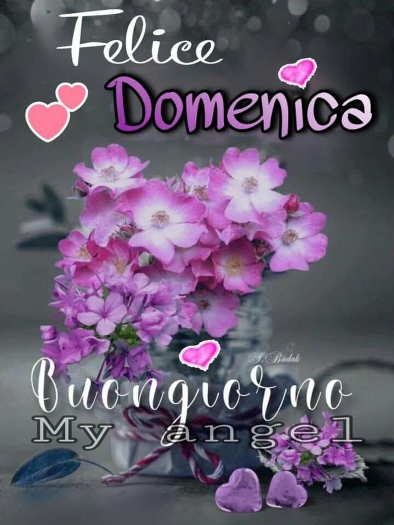 Felice Domenica, Buongiorno (my angel)